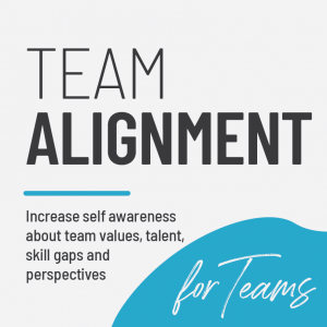 Team Alignment Course title graphic